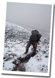 Path Maintenance in Seasonal Weather!